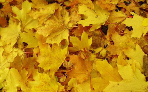897712 (a): :1920x1200